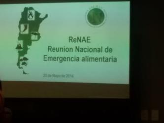 REUNIÓN NACIONAL DE ALIMENTACIÓN EN EMERGENCIA