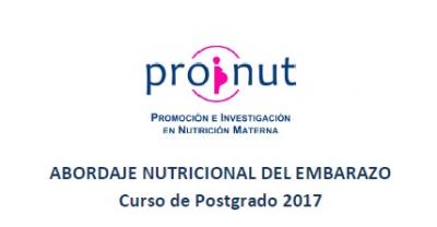 CURSO DE POSGRADO «ABORDAJE NUTRICIONAL DEL EMBARAZO»